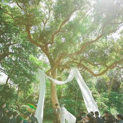 古我邸の写真36枚目