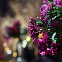 グランド ハイアット 東京の写真31枚目