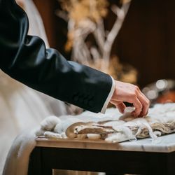 ノベル心斎橋の写真15枚目