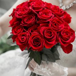 ル・センティ フォーリア 大阪の写真27枚目