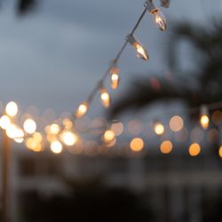 サイレントクラブの写真31枚目