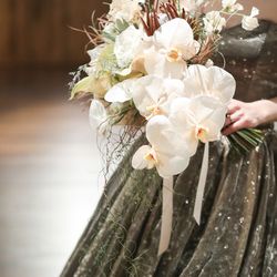 SOLA KOBEの写真31枚目