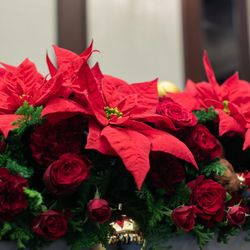 神戸セントモルガン教会の写真29枚目