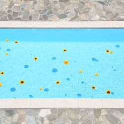 ベイサイド迎賓館 和歌山の写真28枚目