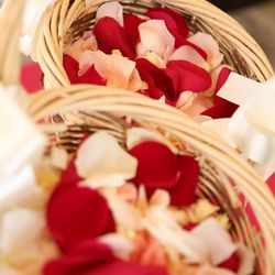 ベイサイド迎賓館 和歌山の写真14枚目