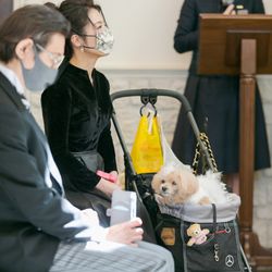 アニヴェルセル 東京ベイの写真12枚目