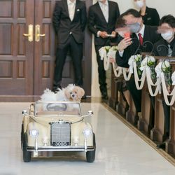 アニヴェルセル 東京ベイの写真25枚目