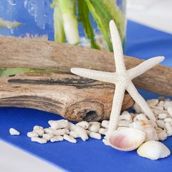 茅ヶ崎迎賓館の写真25枚目