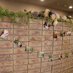 マリエール岡崎の写真3枚目