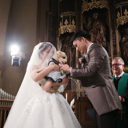 マリエール岡崎の写真15枚目