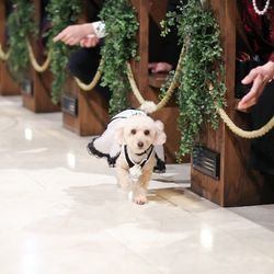 マリエール岡崎の写真5枚目