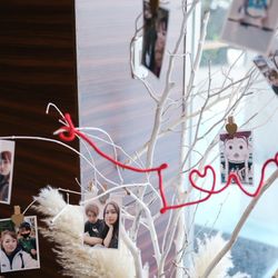 マンダリンポルトの写真12枚目