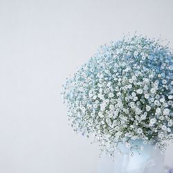 マンダリンポルトの写真22枚目