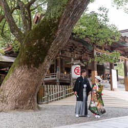金刀比羅宮の写真25枚目
