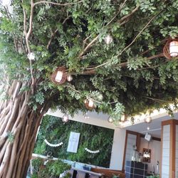 SOLA KOBEの写真18枚目