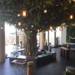 SOLA KOBEの写真30枚目