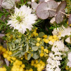 ザ・ガーデンオリエンタル大阪の写真24枚目