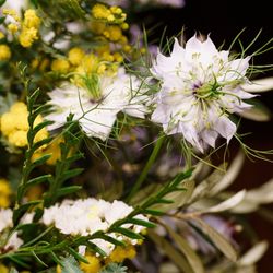 ザ・ガーデンオリエンタル大阪の写真35枚目