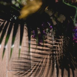 ラソールガーデン名古屋の写真7枚目