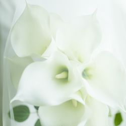 赤坂プリンス クラシックハウスの写真9枚目