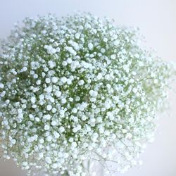 アニヴェルセル 長野の写真34枚目