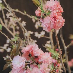横浜迎賓館の写真20枚目