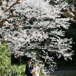 ザ・ガーデンオリエンタル大阪の写真14枚目