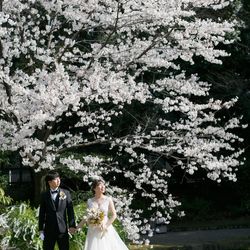 ザ・ガーデンオリエンタル大阪の写真25枚目