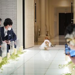 ニーズ青山 by T&G WEDDING の写真31枚目