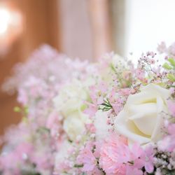 クレール ベイサイドの写真15枚目