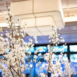 TRUNK HOTELの写真7枚目