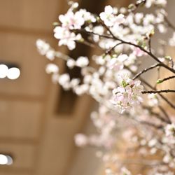 TRUNK HOTELの写真31枚目