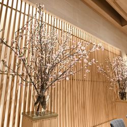 TRUNK HOTELの写真14枚目