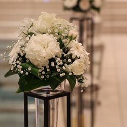 ヴィラ・アンジェリカの写真22枚目