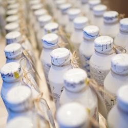 The Place of Tokyoの写真11枚目