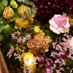 The Place of Tokyoの写真11枚目