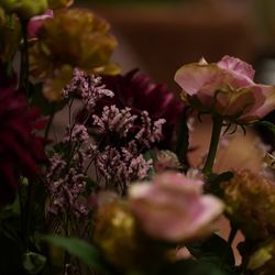 The Place of Tokyoの写真29枚目