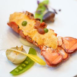 The Place of Tokyoの写真18枚目