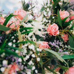 アニヴェルセル 江坂の写真32枚目