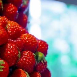 ザ・カワブンナゴヤの写真15枚目