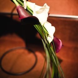 ザ ナンザンハウスの写真4枚目