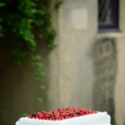 小笠原伯爵邸の写真32枚目