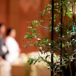 ホテル雅叙園東京の写真1枚目