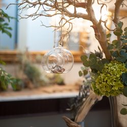 アルモニーアンブラッセ イットハウスの写真13枚目