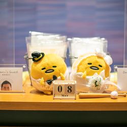 ノートルダム大阪ONEの写真4枚目