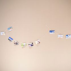 ノートルダム大阪ONEの写真4枚目