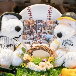 ノートルダム大阪ONEの写真11枚目