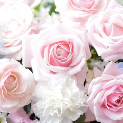 ハートコート横浜の写真30枚目