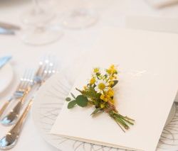 アルジェントの写真16枚目