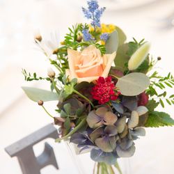 アルジェントの写真13枚目